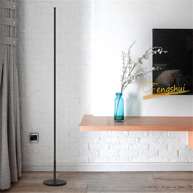 Modern Dimming LED Floor Lamp