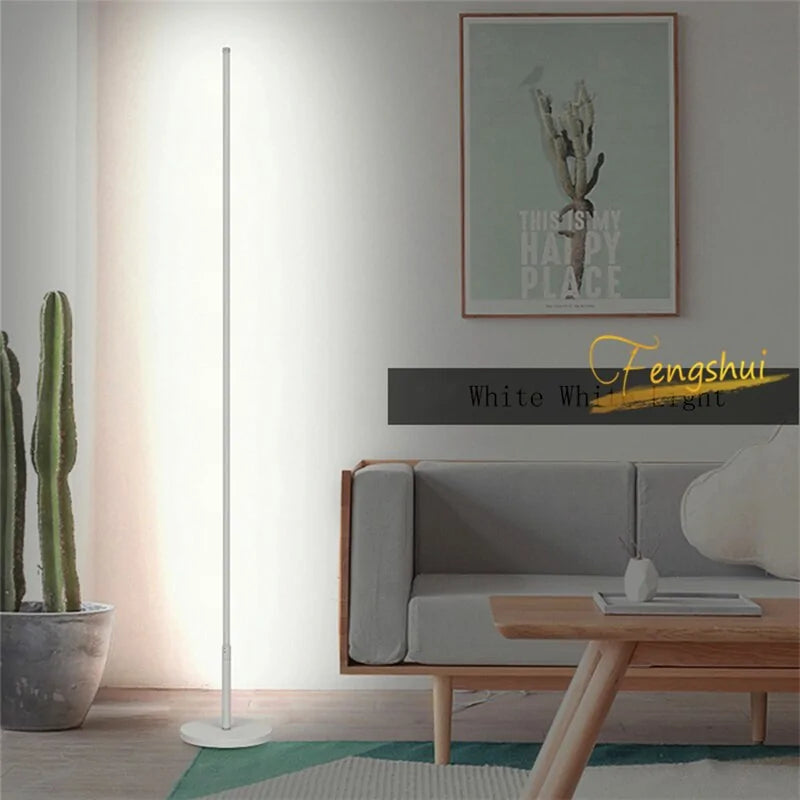 Modern Dimming LED Floor Lamp