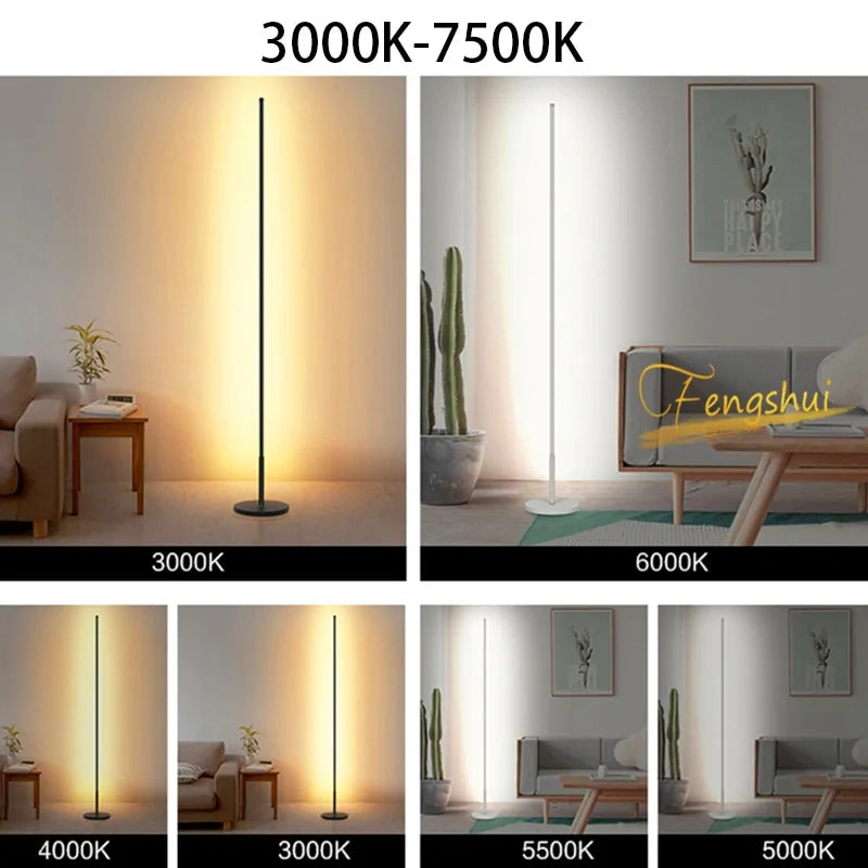 Modern Dimming LED Floor Lamp